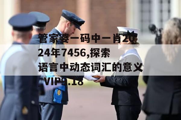 管家婆一码中一肖2024年7456,探索语言中动态词汇的意义_VIP9.18