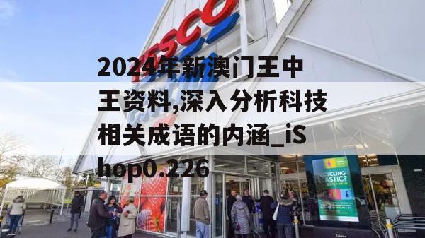 2024年新澳门王中王资料,深入分析科技相关成语的内涵_iShop0.226