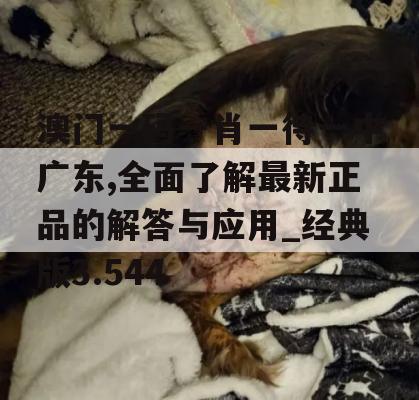 澳门一码一肖一待一中广东,全面了解最新正品的解答与应用_经典版3.544