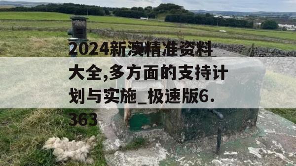 2024新澳精准资料大全,多方面的支持计划与实施_极速版6.363