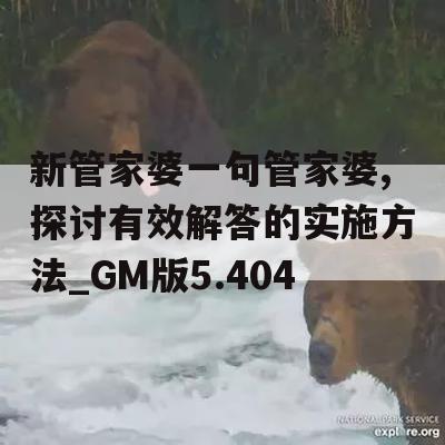 新管家婆一句管家婆,探讨有效解答的实施方法_GM版5.404