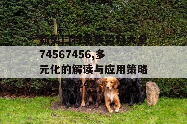 新奥门特免费资料大全74567456,多元化的解读与应用策略_ZOL9.242