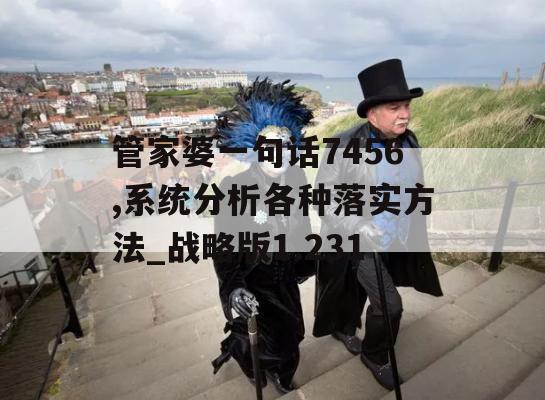 管家婆一句话7456,系统分析各种落实方法_战略版1.231