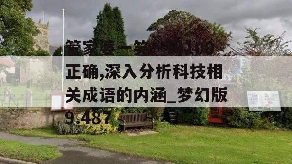 管家婆一笑一码100正确,深入分析科技相关成语的内涵_梦幻版9.487