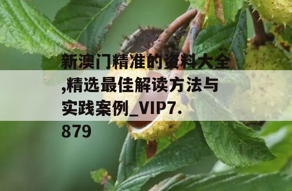 新澳门精准的资料大全,精选最佳解读方法与实践案例_VIP7.879