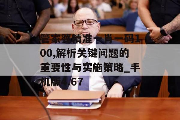 管家婆精准一肖一码100,解析关键问题的重要性与实施策略_手机版4.67