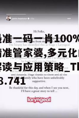 最准一码一肖100%精准管家婆,多元化的解读与应用策略_The8.741