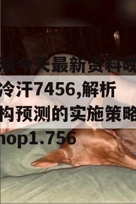 新澳今天最新资料晚上出冷汗7456,解析机构预测的实施策略_iShop1.756