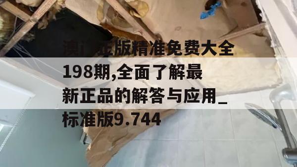 澳门正版精准免费大全198期,全面了解最新正品的解答与应用_标准版9.744