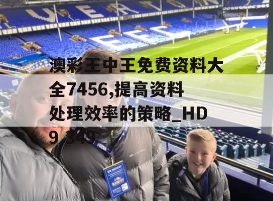 澳彩王中王免费资料大全7456,提高资料处理效率的策略_HD9.349