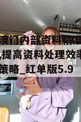 新澳门内部资料精准大全,提高资料处理效率的策略_红单版5.955