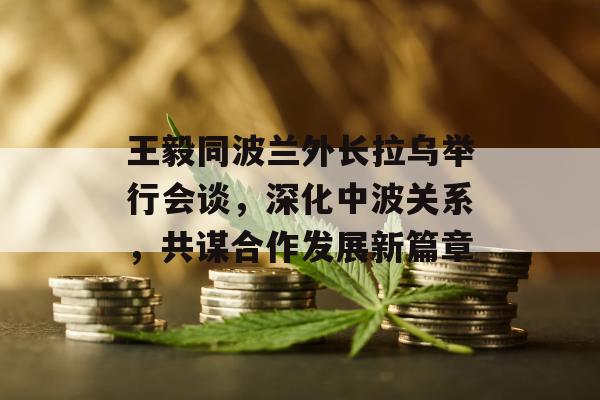 王毅同波兰外长拉乌举行会谈，深化中波关系，共谋合作发展新篇章