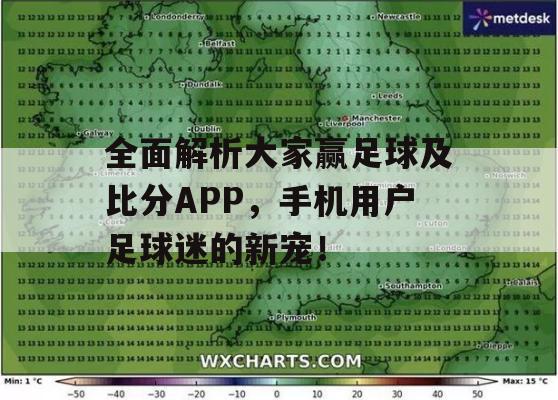 全面解析大家赢足球及比分APP，手机用户足球迷的新宠！