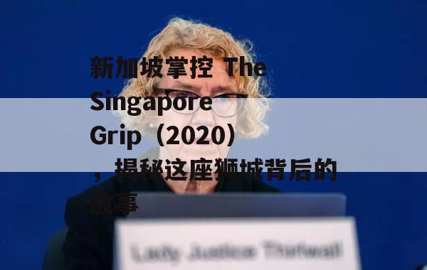 新加坡掌控 The Singapore Grip（2020），揭秘这座狮城背后的故事