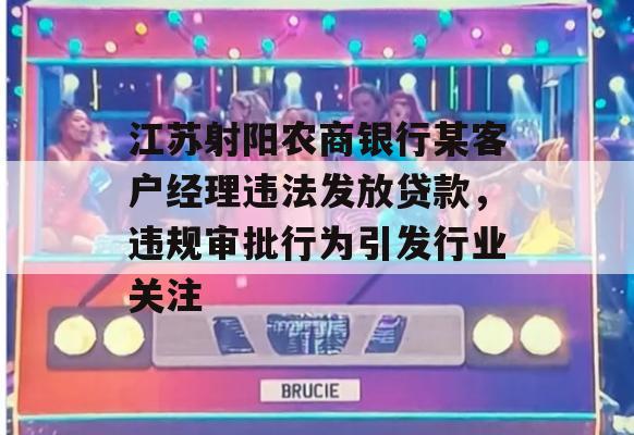 江苏射阳农商银行某客户经理违法发放贷款，违规审批行为引发行业关注