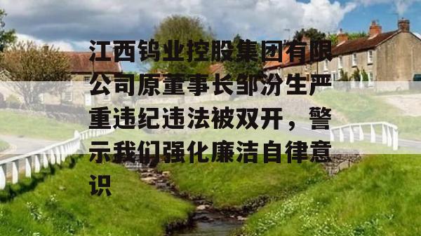 江西钨业控股集团有限公司原董事长邹汾生严重违纪违法被双开，警示我们强化廉洁自律意识