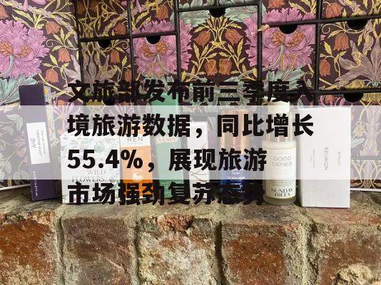 文旅部发布前三季度入境旅游数据，同比增长55.4%，展现旅游市场强劲复苏态势