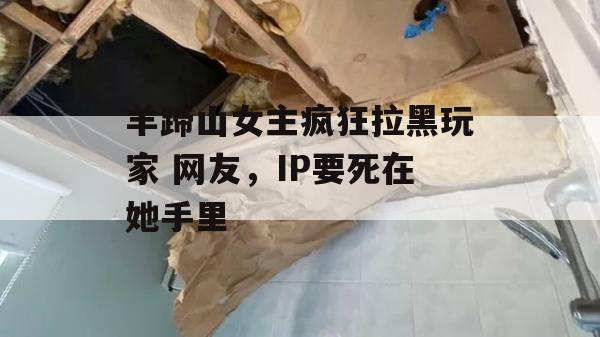 羊蹄山女主疯狂拉黑玩家 网友，IP要死在她手里