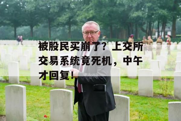 被股民买崩了？上交所交易系统竟死机，中午才回复！