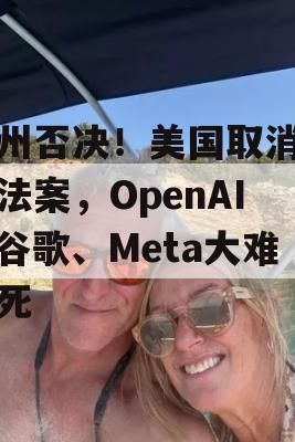 加州否决！美国取消这一法案，OpenAI、谷歌、Meta大难不死