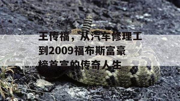 王传福，从汽车修理工到2009福布斯富豪榜首富的传奇人生