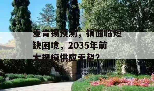 麦肯锡预测，铜面临短缺困境，2035年前大规模供应无望？