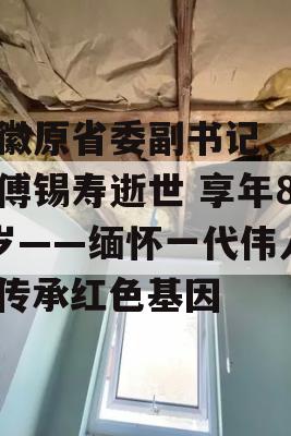 安徽原省委副书记、省长傅锡寿逝世 享年85岁——缅怀一代伟人，传承红色基因