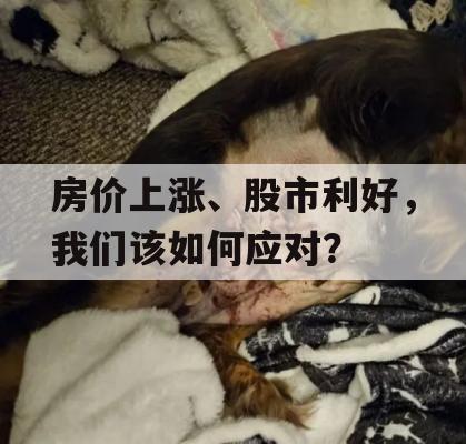 房价上涨、股市利好，我们该如何应对？