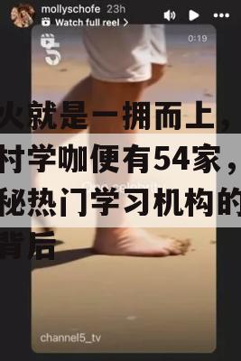 一火就是一拥而上，仅新村学咖便有54家，揭秘热门学习机构的火爆背后