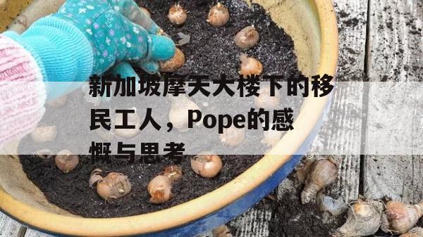 新加坡摩天大楼下的移民工人，Pope的感慨与思考