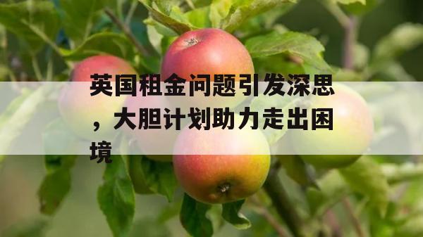 英国租金问题引发深思，大胆计划助力走出困境