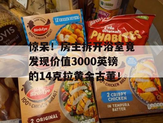 惊呆！房主拆开浴室竟发现价值3000英镑的14克拉黄金古董！