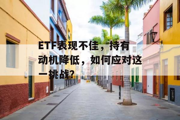 ETF表现不佳，持有动机降低，如何应对这一挑战？