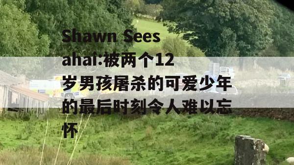 Shawn Seesahai:被两个12岁男孩屠杀的可爱少年的最后时刻令人难以忘怀