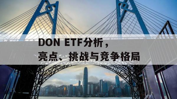 DON ETF分析，亮点、挑战与竞争格局