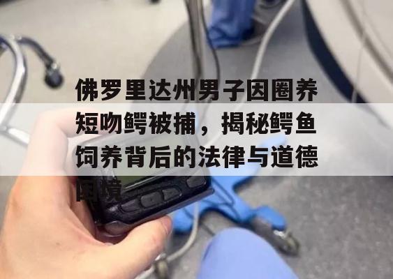 佛罗里达州男子因圈养短吻鳄被捕，揭秘鳄鱼饲养背后的法律与道德困境