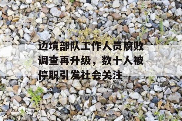 边境部队工作人员腐败调查再升级，数十人被停职引发社会关注