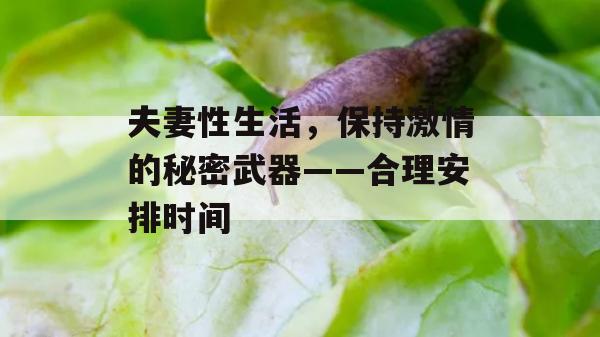 夫妻性生活，保持激情的秘密武器——合理安排时间