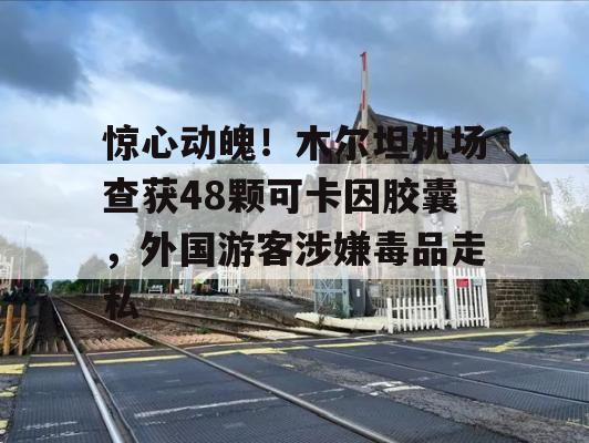 惊心动魄！木尔坦机场查获48颗可卡因胶囊，外国游客涉嫌毒品走私