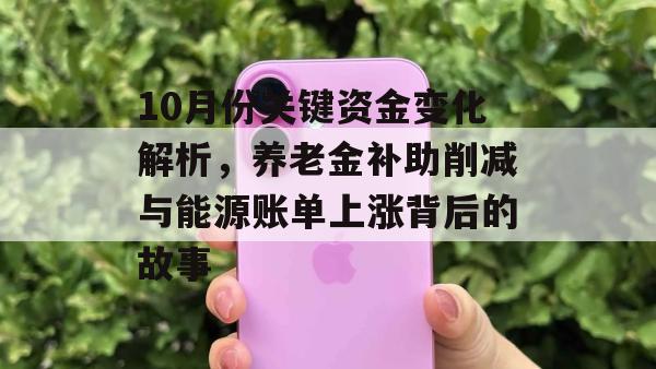 10月份关键资金变化解析，养老金补助削减与能源账单上涨背后的故事