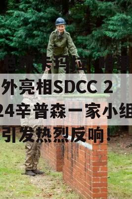 副总统卡玛拉·哈里斯意外亮相SDCC 2024辛普森一家小组，引发热烈反响！