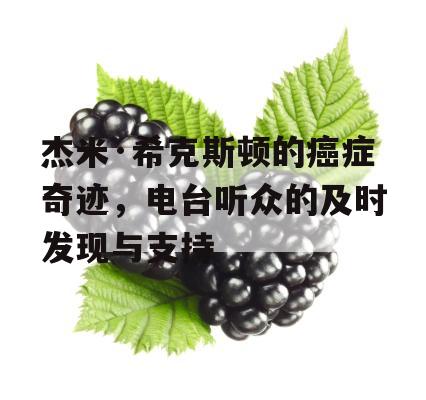 杰米·希克斯顿的癌症奇迹，电台听众的及时发现与支持