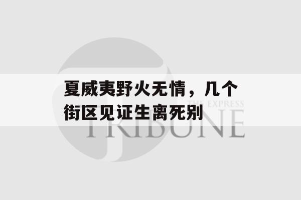 夏威夷野火无情，几个街区见证生离死别