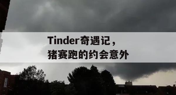 Tinder奇遇记，猪赛跑的约会意外