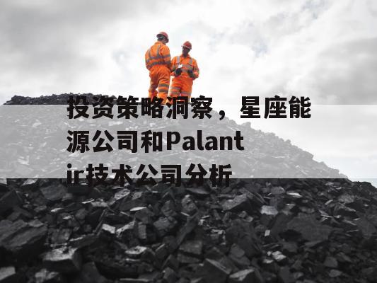 投资策略洞察，星座能源公司和Palantir技术公司分析