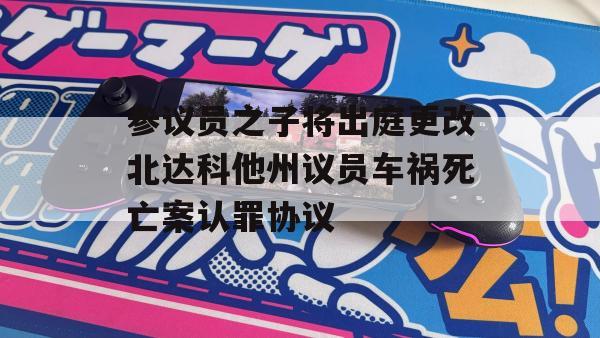 参议员之子将出庭更改北达科他州议员车祸死亡案认罪协议