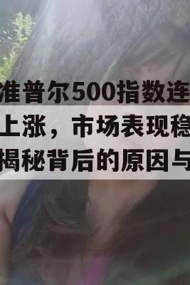 标准普尔500指数连续上涨，市场表现稳定，揭秘背后的原因与展望