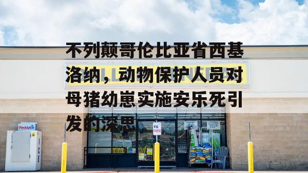 不列颠哥伦比亚省西基洛纳，动物保护人员对母猪幼崽实施安乐死引发的深思