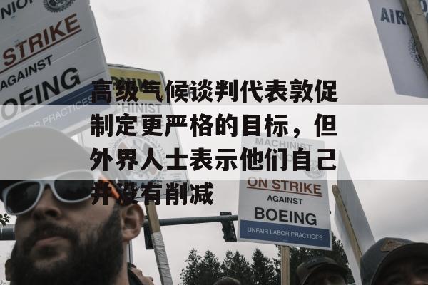 高级气候谈判代表敦促制定更严格的目标，但外界人士表示他们自己并没有削减