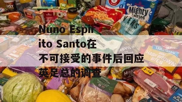 Nuno Espirito Santo在不可接受的事件后回应英足总的调查